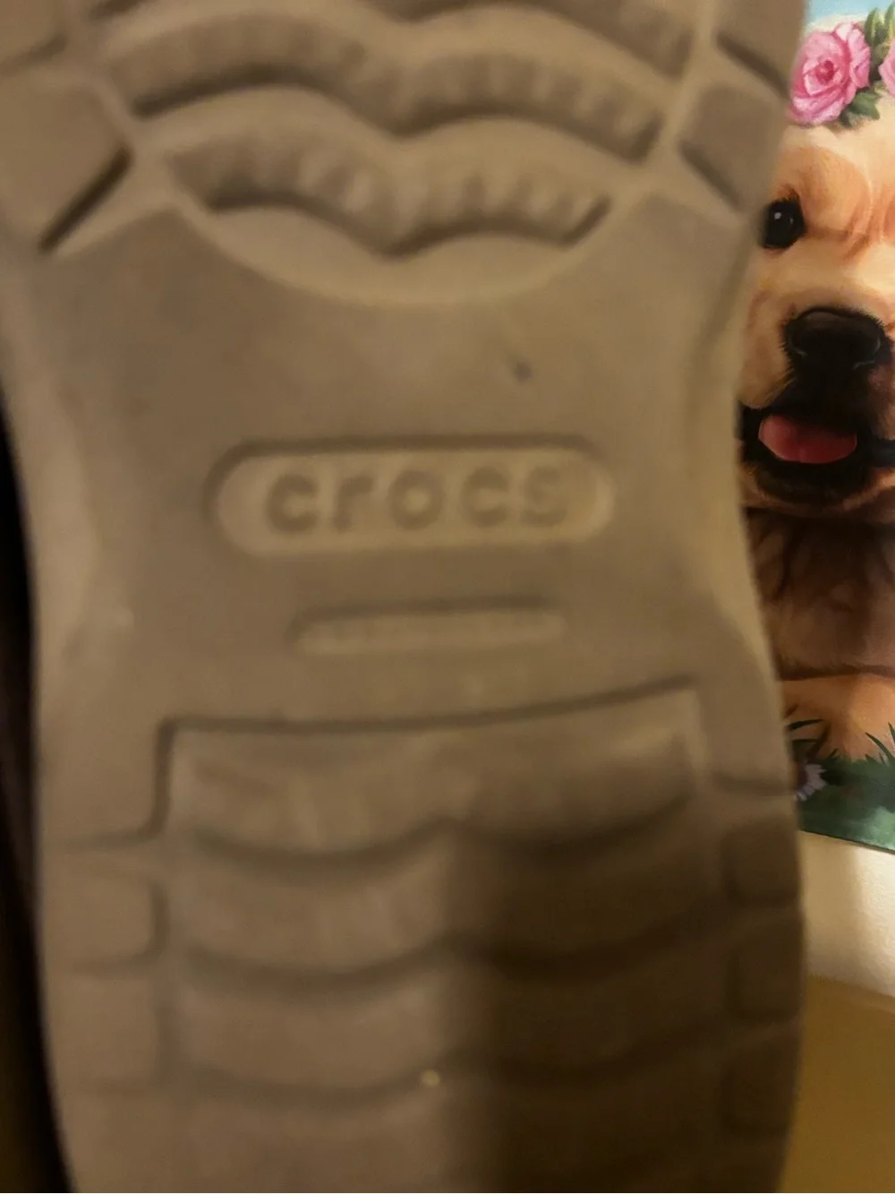 CROCS Gray Pet-Friendly Slip-Resistant Sole